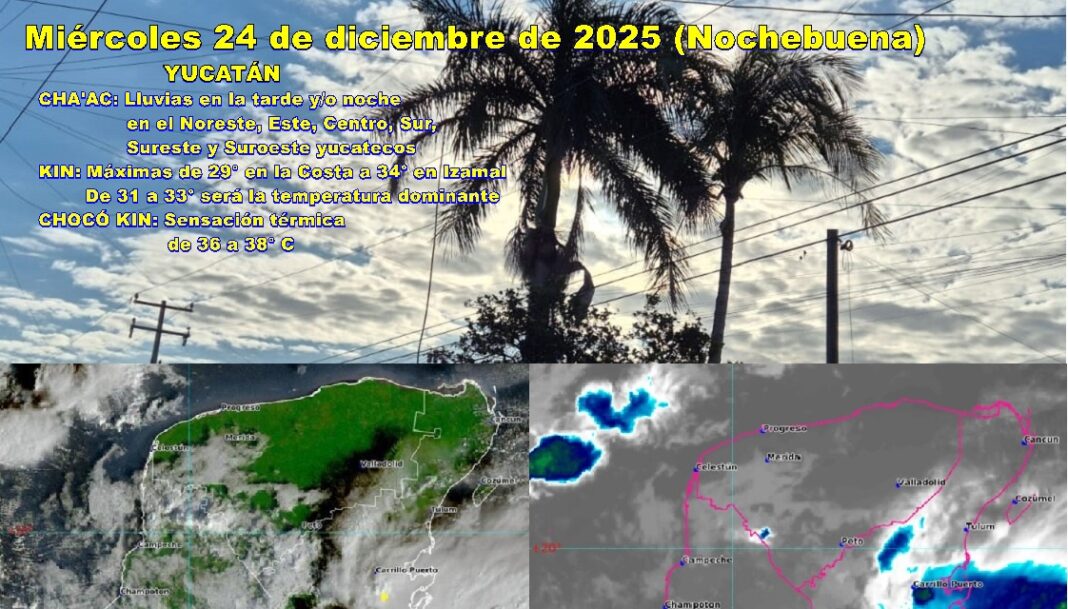 WhatsApp Image 2025-12-24 at 08.33.15 (1)