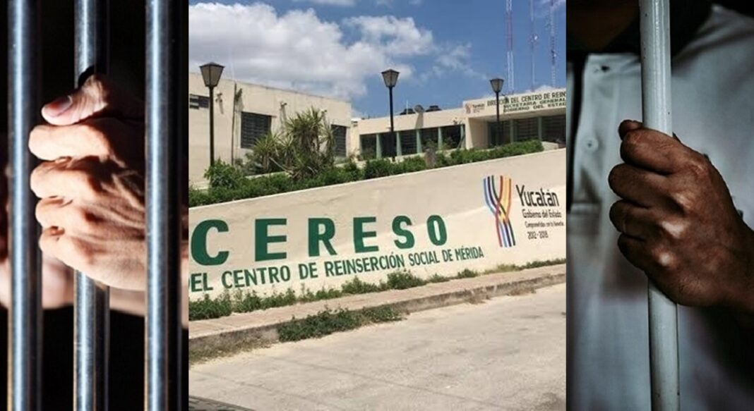 CHENpoli No le dan comida y casi mata a su “Xun” Condenado a 10 años