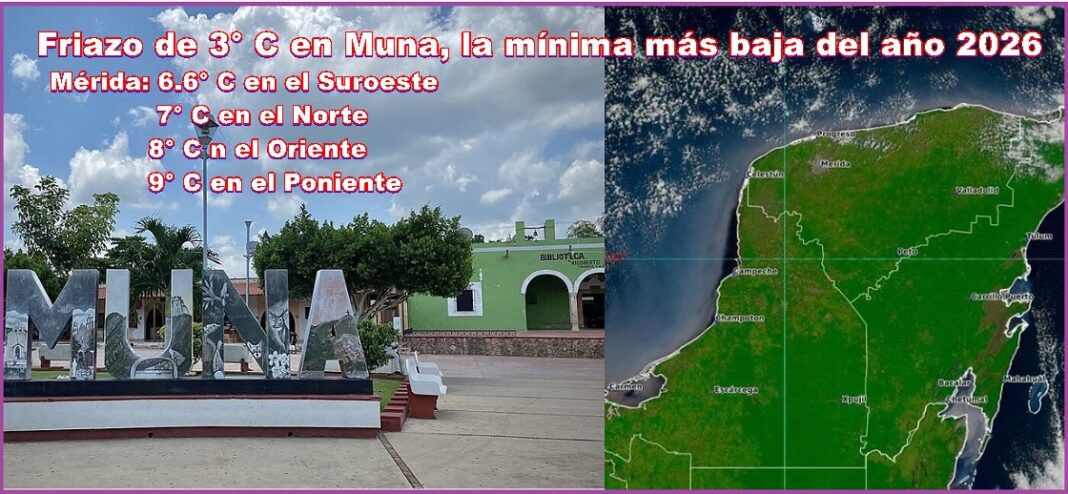 WhatsApp Image 2026-02-02 at 10.14.39