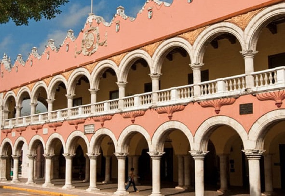 WhatsApp Image 2026-02-16 at 11.25.44