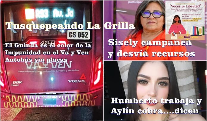 WhatsApp Image 2026-03-04 at 09.31.39