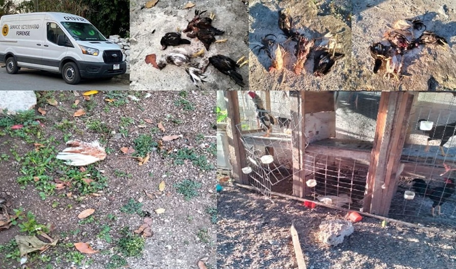 WhatsApp Image 2026-03-15 at 10.36.25 AM