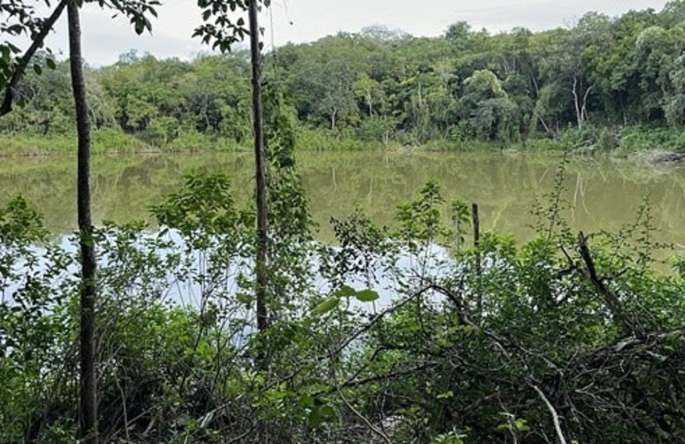 WhatsApp Image 2026-04-10 at 07.08.05