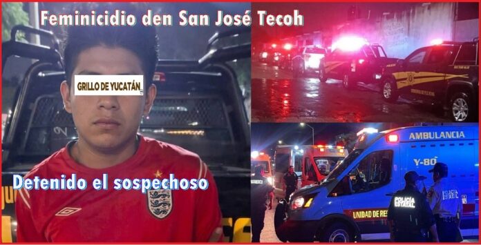 1FemiSJose