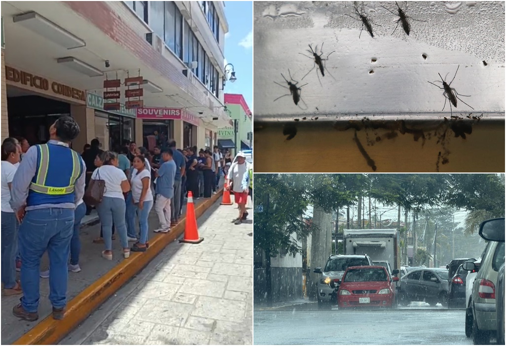 Yucatán extremo Calor sofocante, lluvias intensas, inundaciones, ola de moscoS