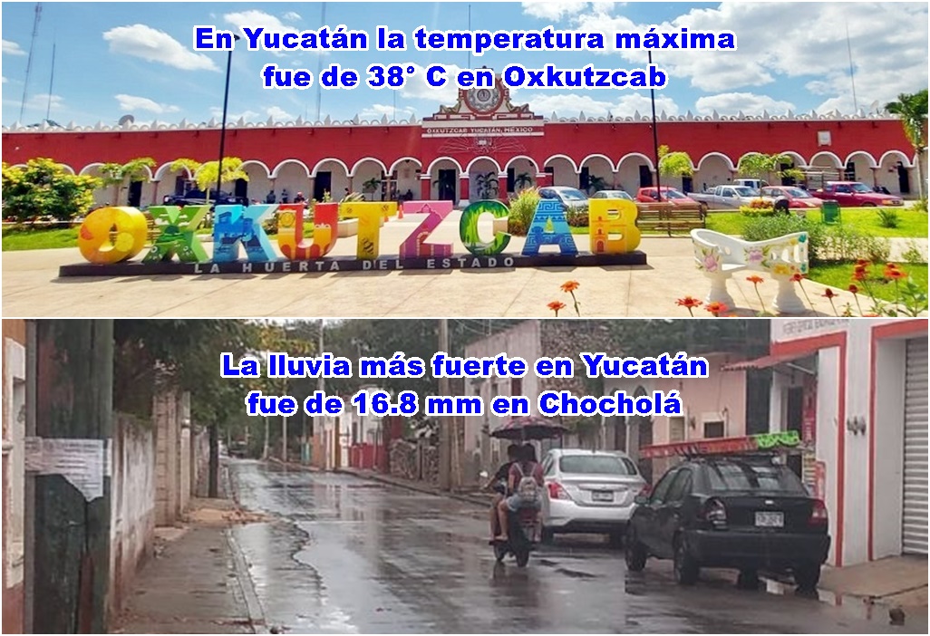 chocho y mox