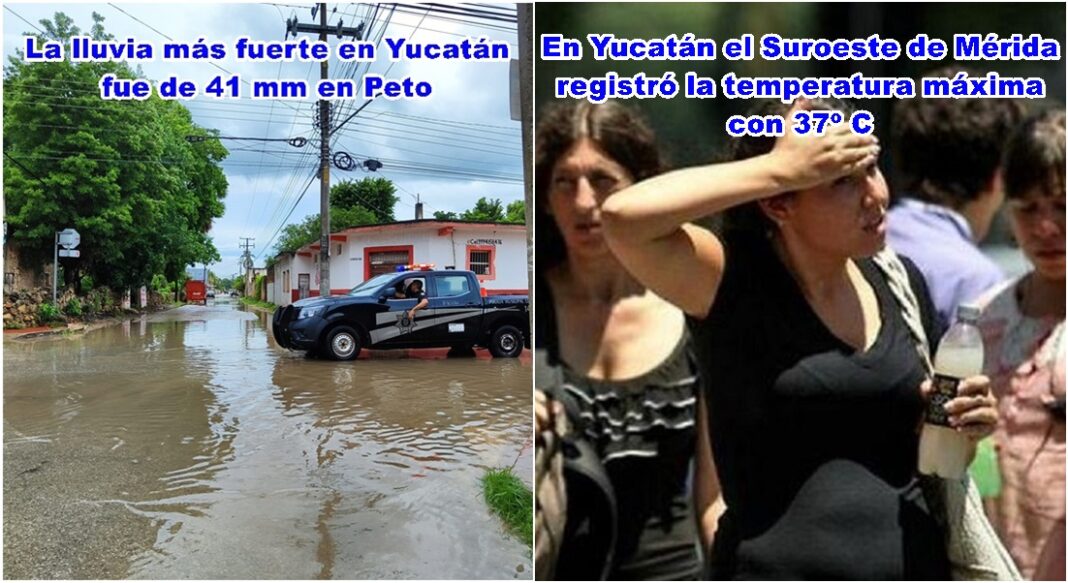 peto y suromeri