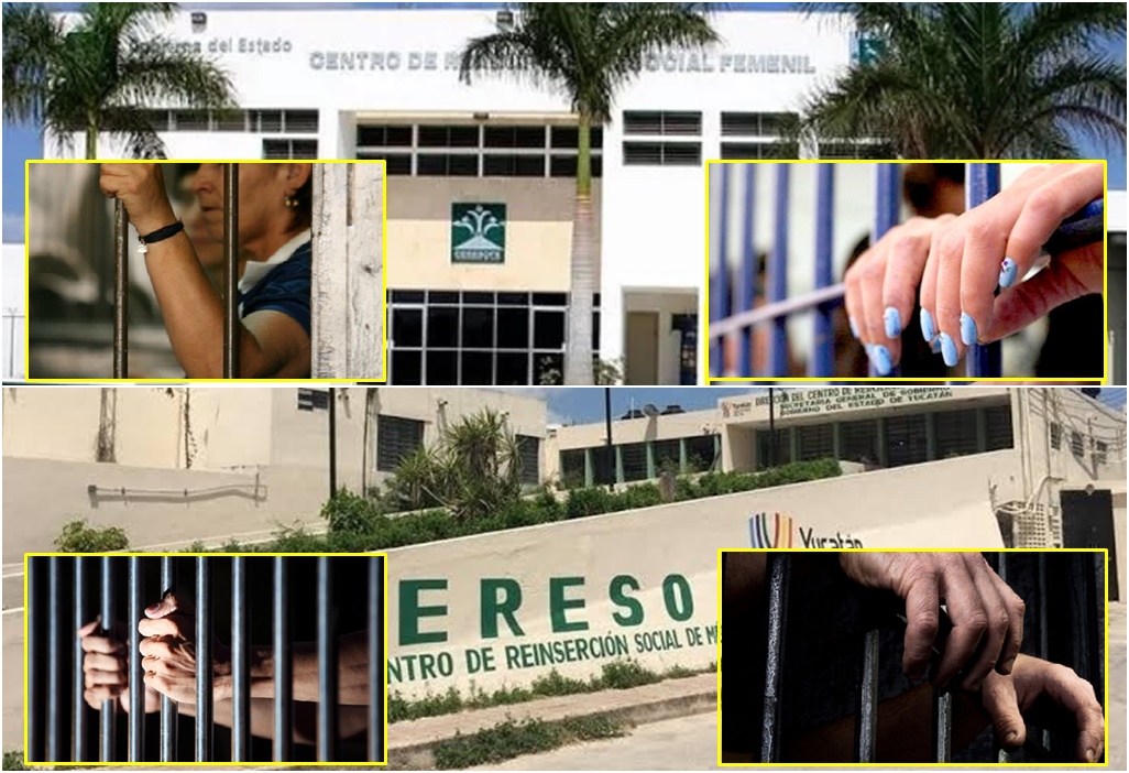 Otra denuncia contra la mafia de defraudadores, protegida de un juez