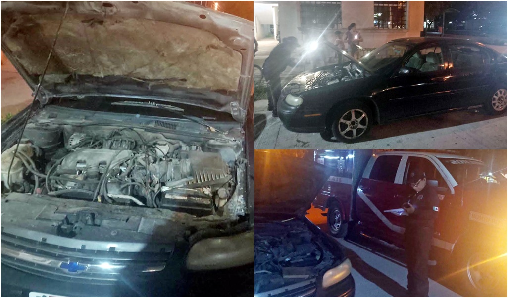 Una serpiente en el motor de un automóvil moviliza a la policíA