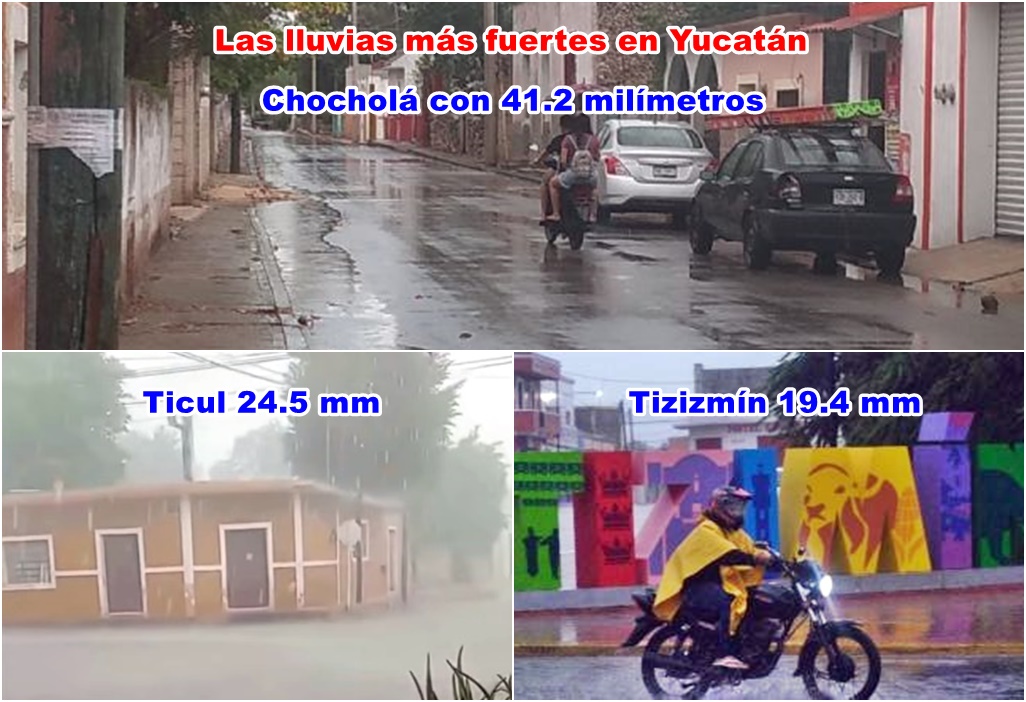 chocho tixi y ticu