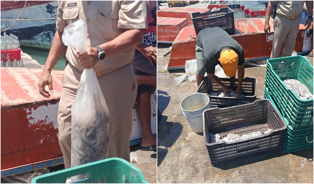 Oficiales de la Capitanía de Puerto de Yucalpetén obtienen $16 mil al día