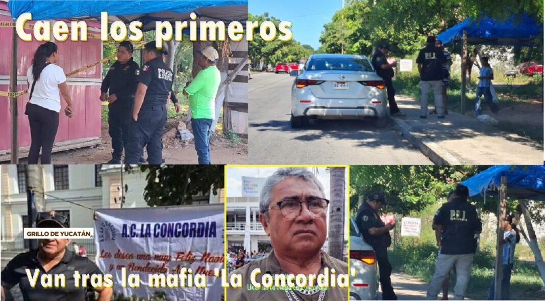 1MafiaConcordia