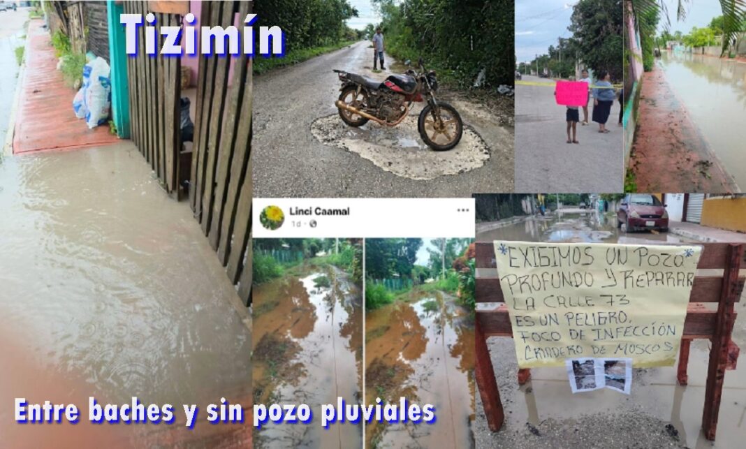 1TizFeo