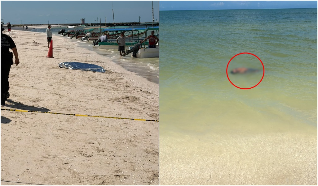 “Bolas” aparece muerto, flotando en la orilla del mar de Celestún,